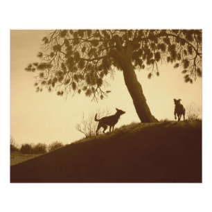 Póster cães cênicos originais no parque sepia paisagem ar