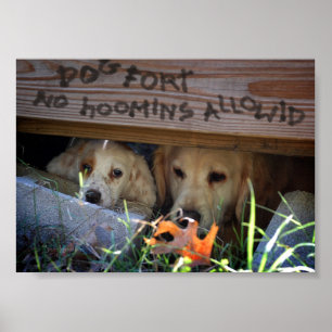 Póster Cães e cachorros em Forte Cão