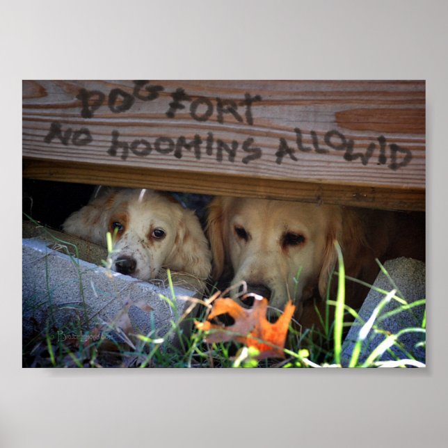 Póster Cães e cachorros em Forte Cão (Frente)