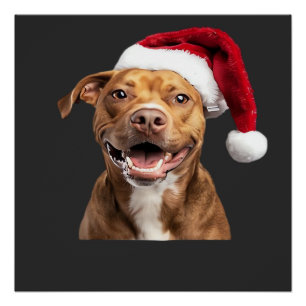 Póster Cães Felizes no Natal Cães Engraçados Camiseta Clá