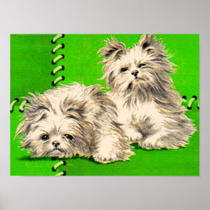 Poster cães fofos