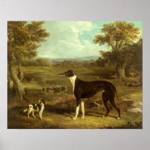 Póster Cães, Greyhound e Spaniel, Doutor Fop de Herring