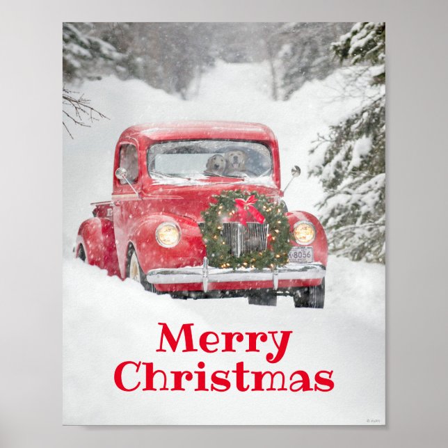 Poster Cães num Caminhão (Frente)