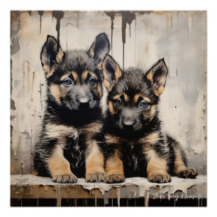 Póster Cães-Papoila-German shepherd Amigáveis 001 - Raimo