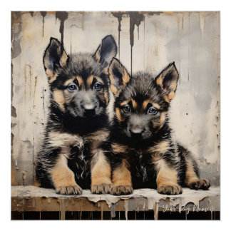 Póster Cães-Papoila-German shepherd Amigáveis 001 - Raimo