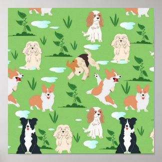 Poster Cães Rabiscam
