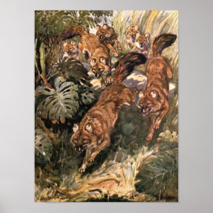 Póster Cães Selvagens Antigos, Dholes por Winifred Austen
