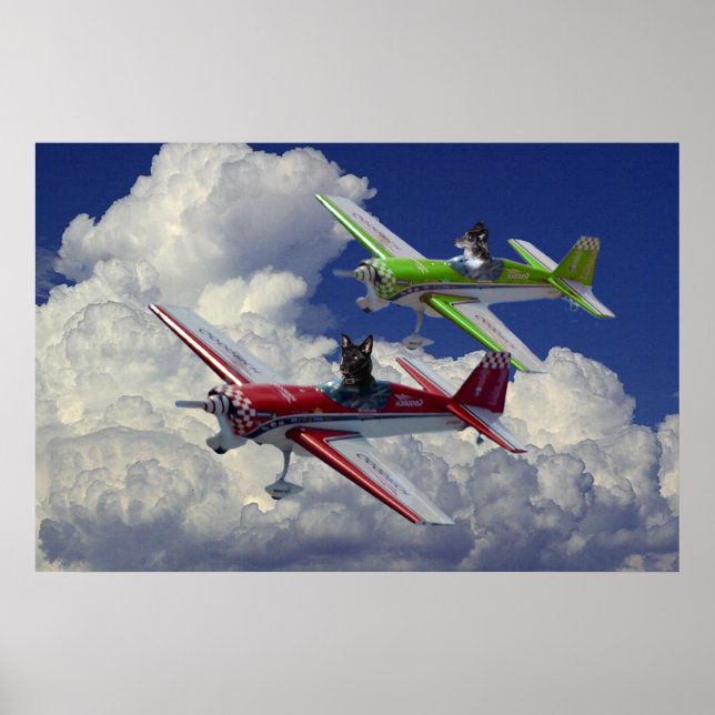 Póster Cães voadores 3 (Frente)