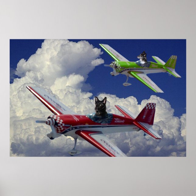 Poster Cães voadores 4 (Frente)