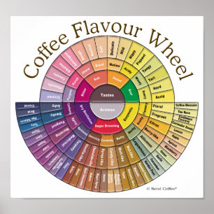 Poster Café Flavor Wheel Wall Art
