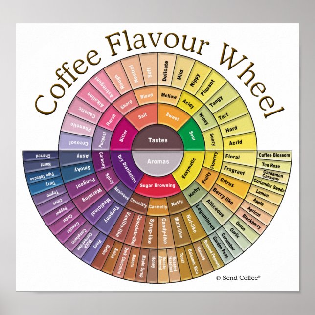 Poster Café Flavor Wheel Wall Art (Frente)