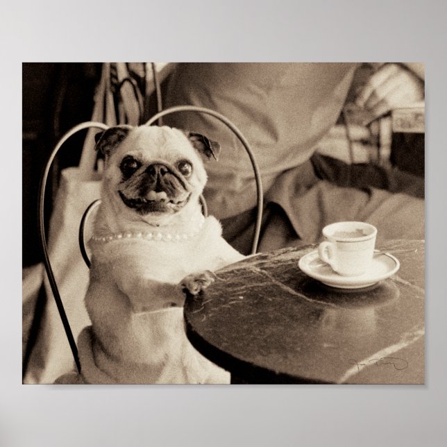Póster Cafe Pug (Frente)