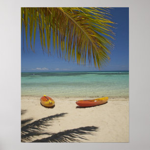 Poster Caiaques na praia, Plantation Island Resort