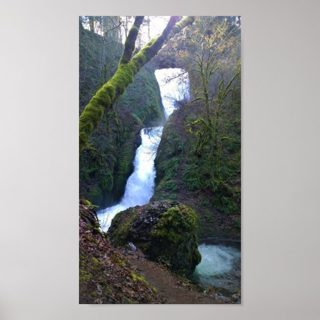 Poster Caias De Véu Bridal, OU (Frente)
