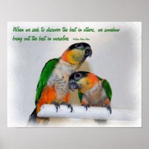 Poster Caique Caique - Cota Inspiracional