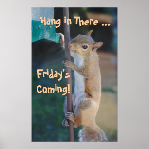 Póster Cair dentro lá, Friday'sComing! Esquilo