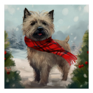 Póster Cairn Terrier Dog no Natal da Neve