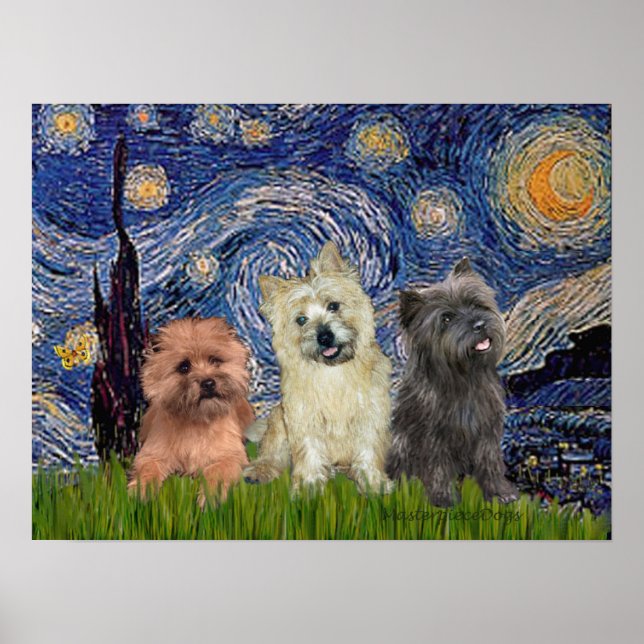 Poster Cairn Terriers (três) - Noite Estrelada (Frente)