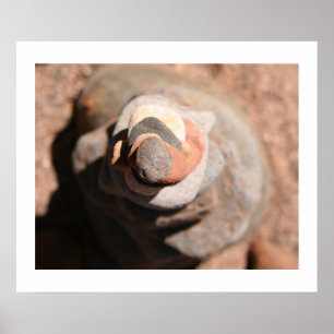 Póster Cairn Vortex