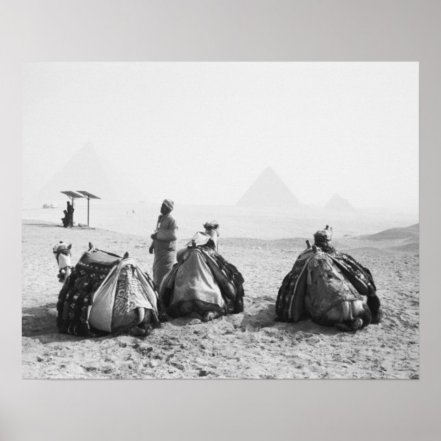 Póster Cairo Egito, Camel Jockeys Pirâmides Giza (NR) (Frente)