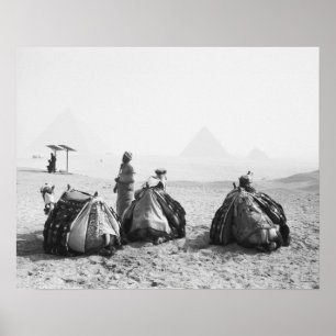 Póster Cairo Egypt, Camel Jockeys Giza Pyramids (NR)