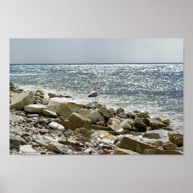 Poster Caivota e mar (Frente)