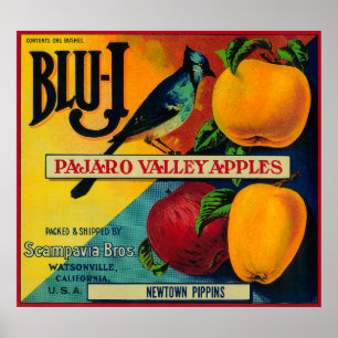 Póster Caixa Azul-j LabelWatsonville de Apple, CA