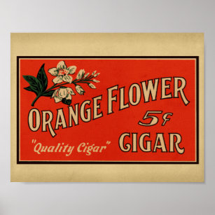 Poster Caixa de Charutos de Flor Laranja