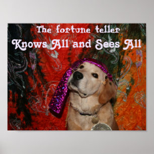 Póster Caixa de fortuna do golden retriever