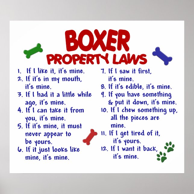 PÓSTER CAIXA PL2 (Frente)