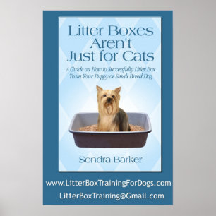Poster Caixas de maca Arent apenas para gatos