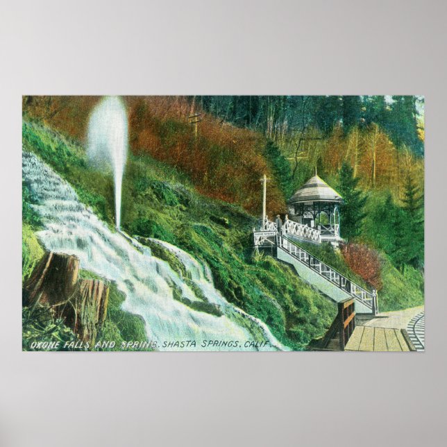 Póster Caixas de Oxone e Primavera VerPrimaveras Shasta,  (Frente)