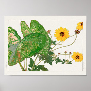 Poster Caládio com folhas de rico, Coreopsis por Tanigami