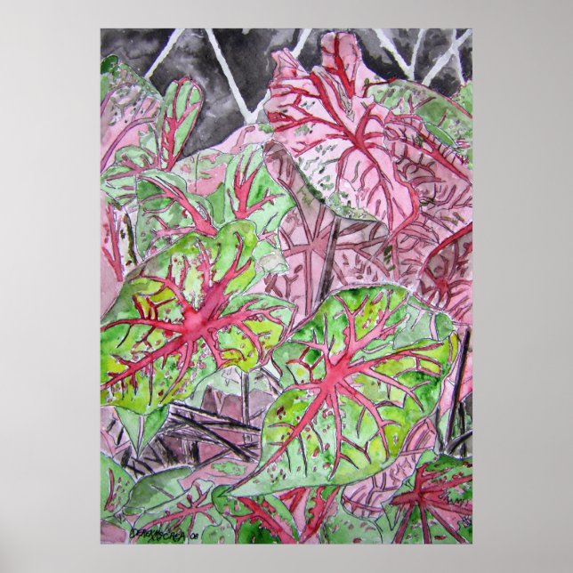Póster caladiums_planta_pintura (Frente)