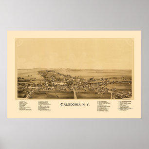 Póster Caledonia, mapa panorâmico de NY - 1892