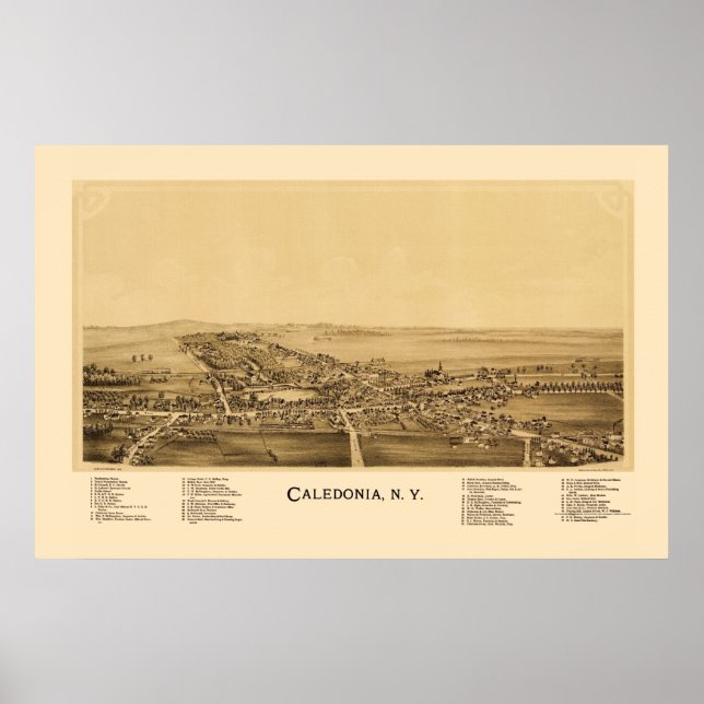 Póster Caledónia, Novo Mapa Panorâmico - 1892 (Frente)