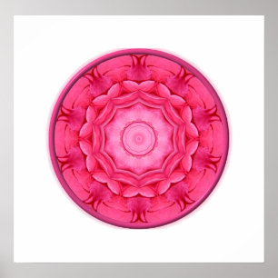 Póster Caleidoscópio cor-de-rosa dos rosas