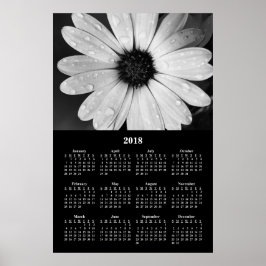 Póster Calendário 2018 da Flor Margarida Africana