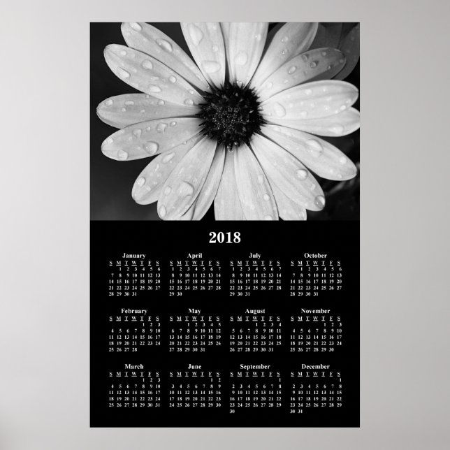 Póster Calendário 2018 da Flor Margarida Africana (Frente)