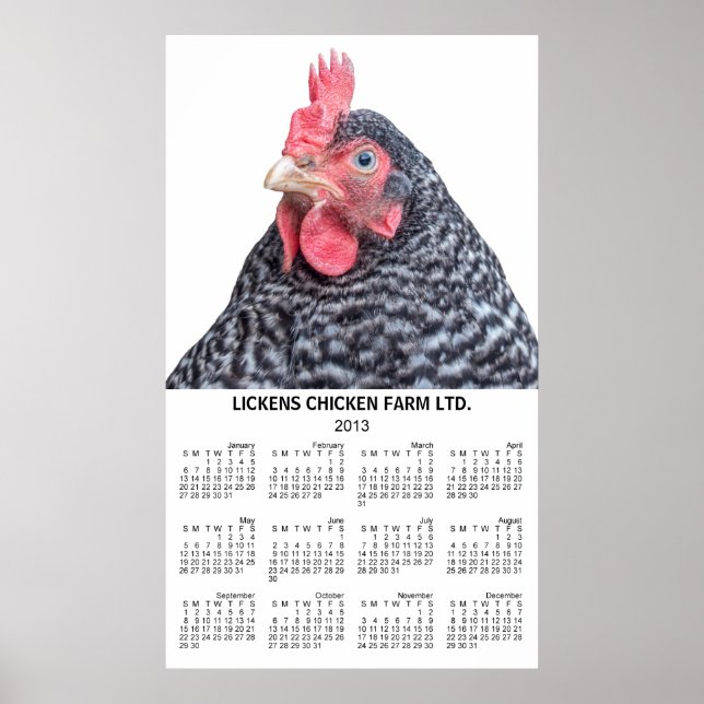 Póster Calendário Anual de Parede de Frango Barred Rock 2 (Frente)