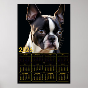 Poster Calendário Boston Terrier 2026