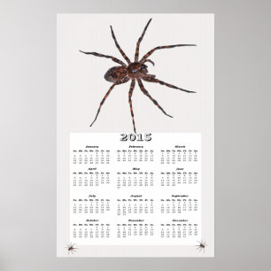 Póster Calendário da Aranha Lobo de 2015