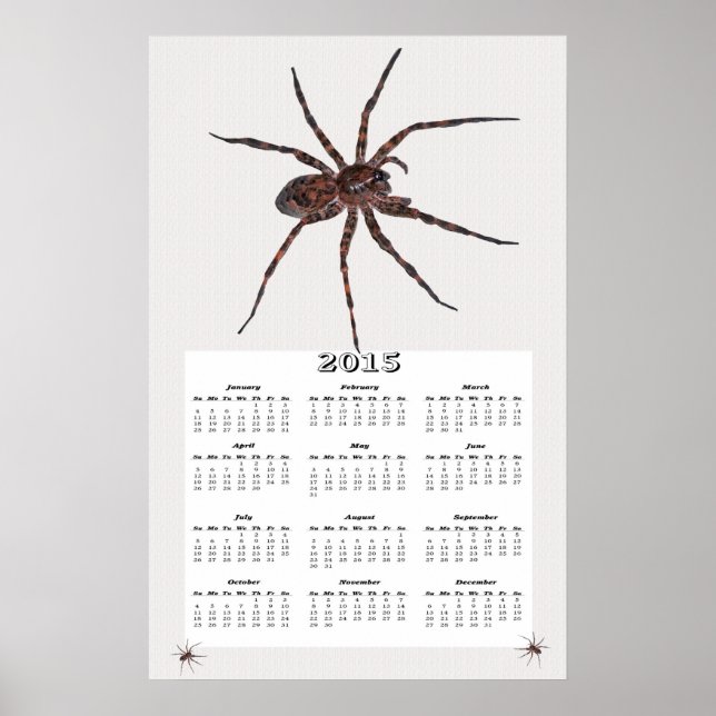 Póster Calendário da Aranha Lobo de 2015 (Frente)
