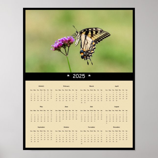 Poster Calendário da Borboleta do Swallowtail do Tigre Or (Frente)
