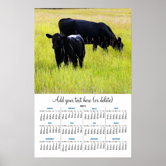 Póster Calendário da parede do Black Angus in Yellow Gras (Frente)