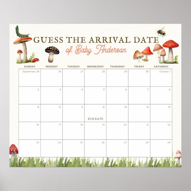Poster Calendário de Adivinhação da Data de Nascimento Co (Frente)