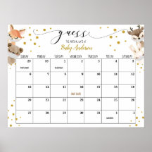 Calendário de Data de Vencimento do Chá de fraldas