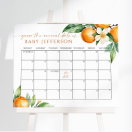 Poster Calendário de Data de Vencimento do Chá de fraldas