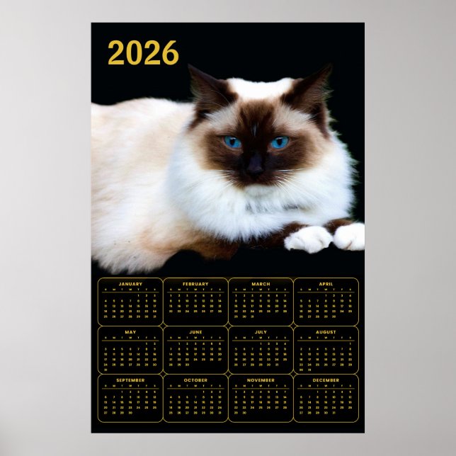 Poster Calendário de Gatos Birmaneses 2026 (Frente)