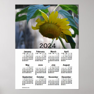 Poster Calendário de girassol de 2024 por Janz